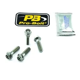 PRO BOLT TIFAPINCH160 TITANIUM FRONT AXLE PINCH BOLT KIT NATURAL