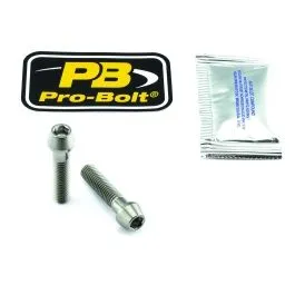PRO BOLT TIFAPINCH40 TITANIUM FRONT AXLE PINCH BOLT KIT NATURAL