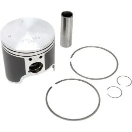 WSM 010-824PK PISTON ASSY PLAT S/D STD