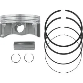 WSM 010-862-05K PISTON ASSY PLAT S/D .5MM