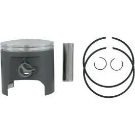 WSM 50-306PK PISTON ASSY PLAT POL STD