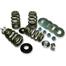 FEULING PARTS 1201 VALVE SPRING KIT HIGH LOAD BEEHIVE SCREAMIN EAGLE