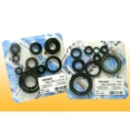 ATHENA P400210400001 ENGINE OIL SEAL KIT