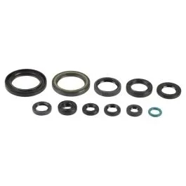 ATHENA P400210400095 ENGINE OIL SEAL KIT