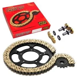 REGINA KT010 136 ZRT 106 RIVET LINK 530 Z-RING REPLACEMENT CHAIN KIT / 18 TEETH FRONT & 42 TEETH REAR / GOLD / ST