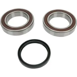 ALL BALLS 14-1035 CHAINCASE BEARING & SEAL KIT SKI-DOO