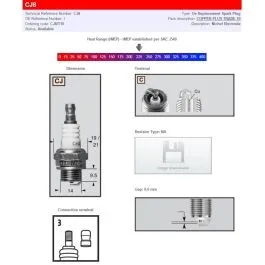 CHAMPION CJ8 SPARK PLUG COPPER PLUS