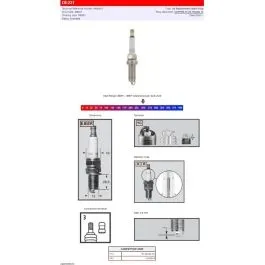 CHAMPION OE231 S-PLUG REA6YC