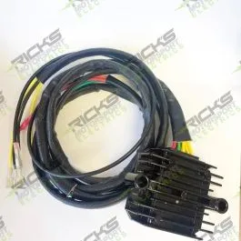 RICK'S MOTORSPORT ELECTRIC 14-0012 REG L-ION BMW UNIV 14-002