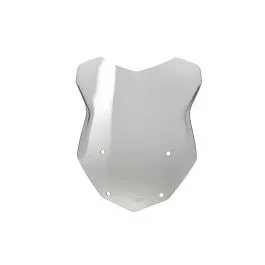 WRS BM009F WSCRN INTER R1250GS SMOKE