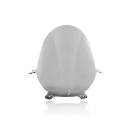 WRS DU009F WSCRN RACE PANIGALE V4/S