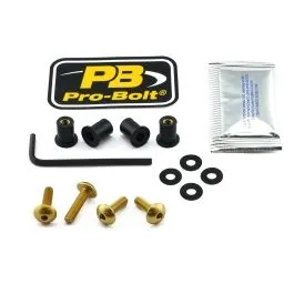 PRO BOLT SK405G SCR KIT SCREEN 4 GD
