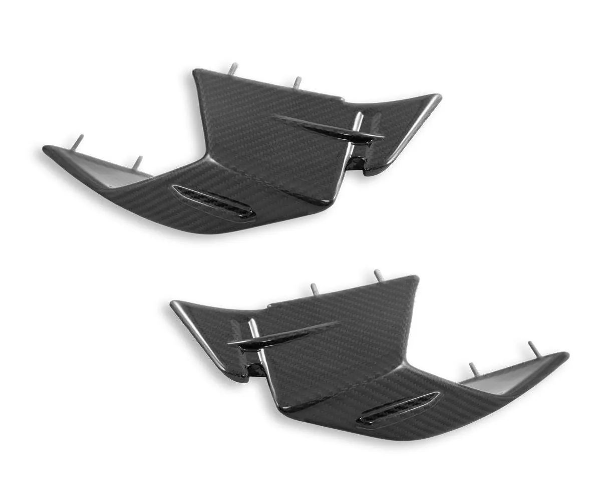Alette Carbonio Lucido My23 Dbk Per Bmw S1000rr 2023 > 2024-CRB142L-414002
