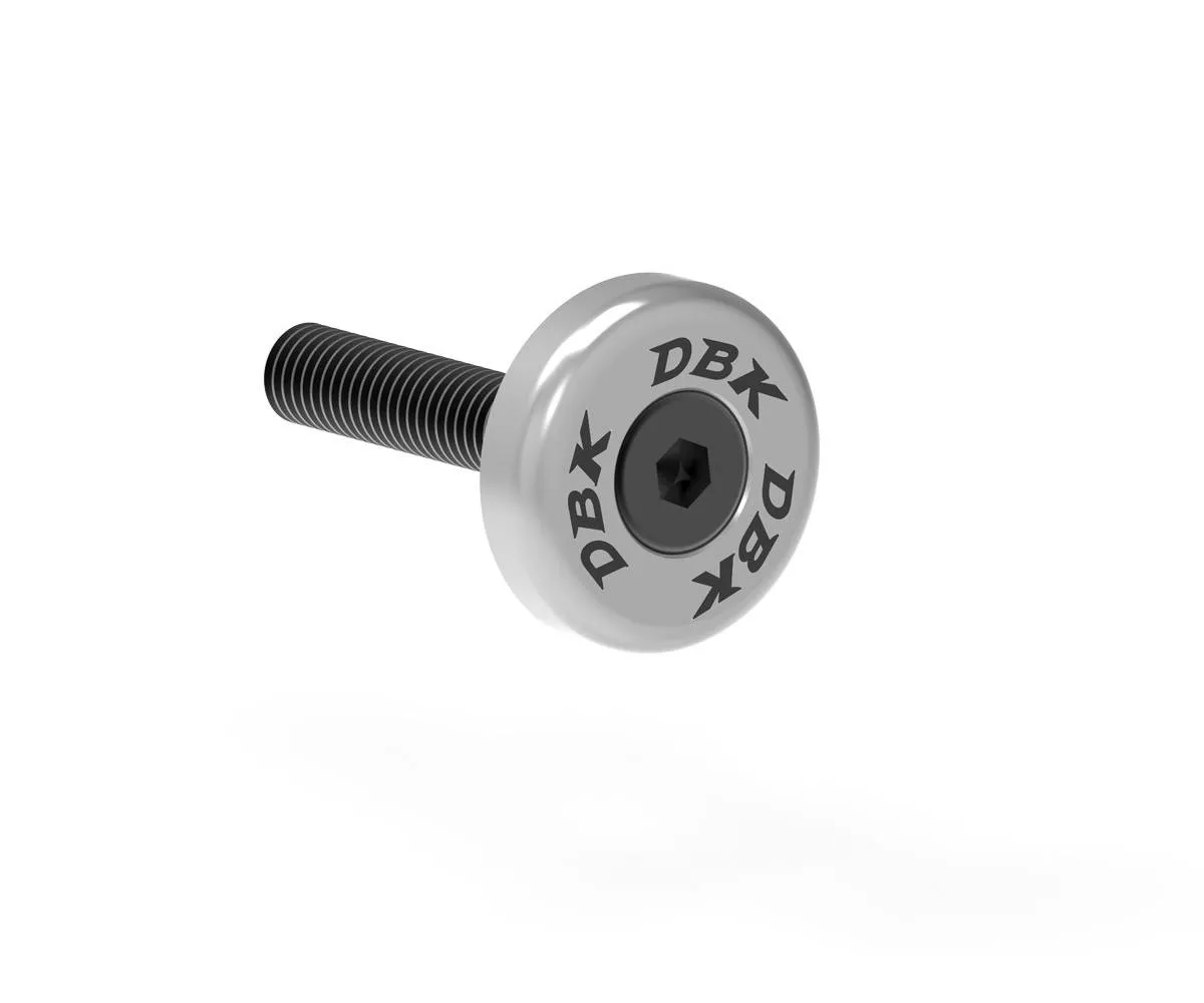 Rondella Vite Supporto Marmitta Silver Dbk Per Triumph Street Triple 765 Moto2 Edition 2023 > 2024-ROND06E-399607