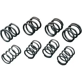 ANDREWS 272110 HIGH-LIFT VALVE SPRINGS