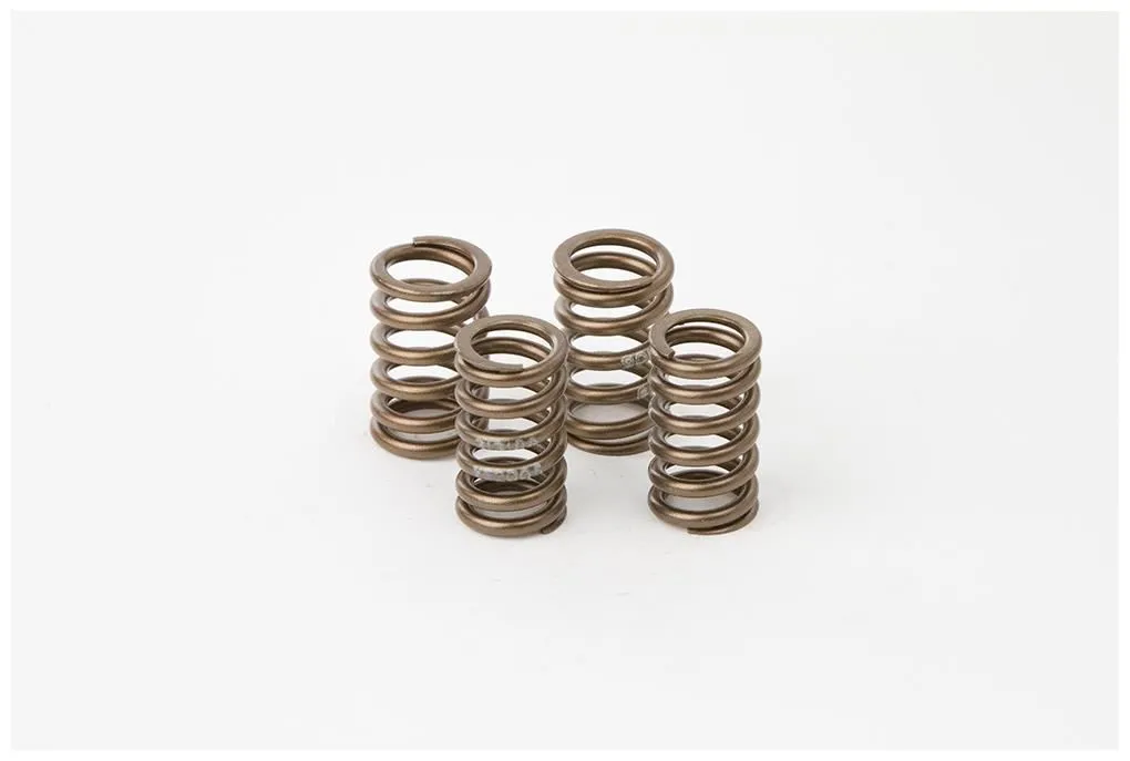 Kit molle per alberi a camme Hot Cams per Kawasaki KXF 250 04-14