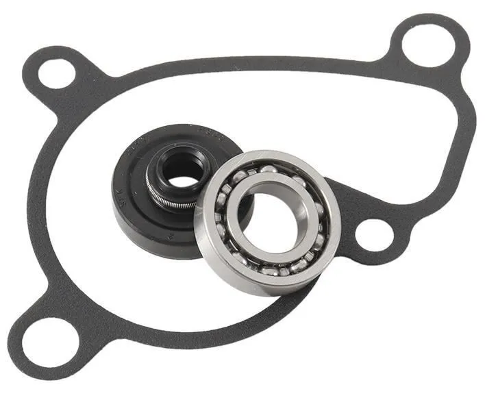 Kit revisione pompa dell'acqua Hot Rods completa per Suzuki RM 250 03-08