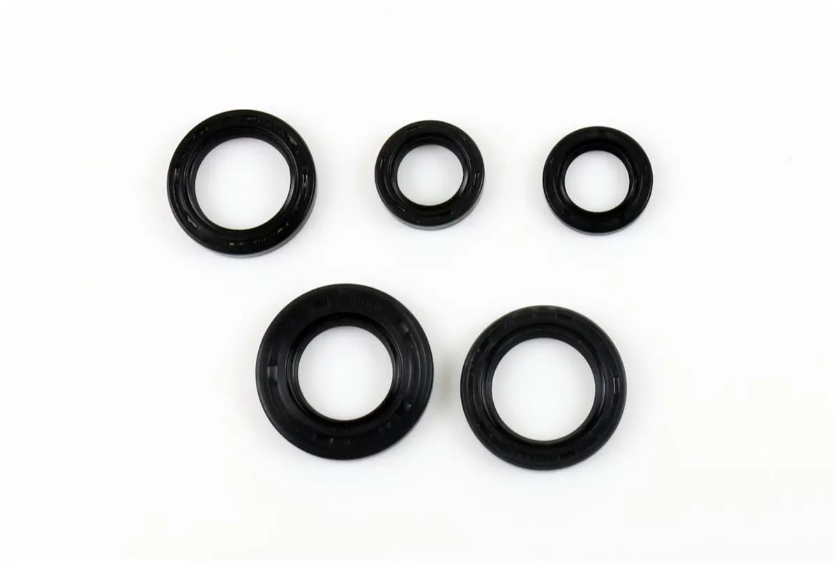 Serie Paraoli Motore Athena per Italjet Velocifero 50 93-99