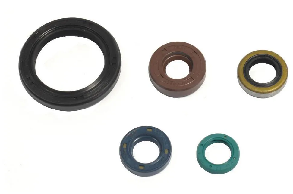 Serie Paraoli Motore Athena per Kawasaki KLX 250 09-12