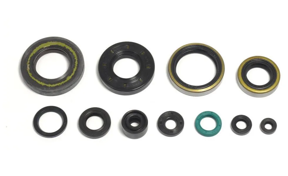 Serie Paraoli Motore Athena per Kawasaki KX 250 93-04