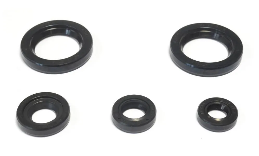 Serie Paraoli Motore Athena per KTM 200 RC 15-16