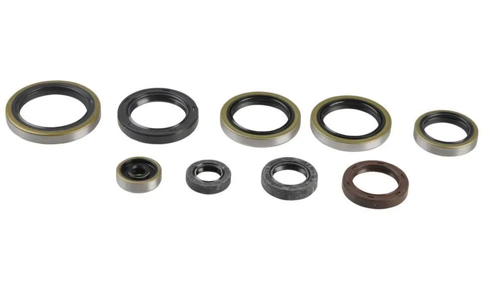 Serie Paraoli Motore Athena per KTM 250 XC 06-16