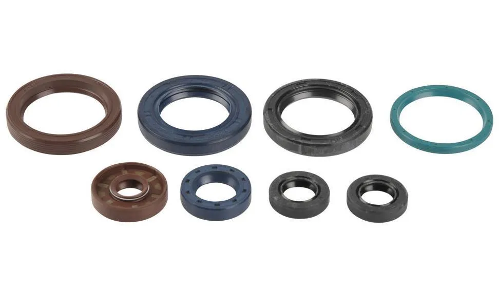 Serie Paraoli Motore Athena per KTM 250 XCF-W 06-13