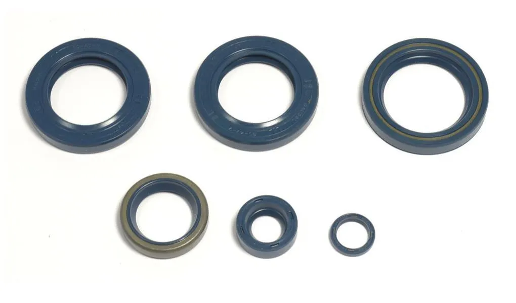 Serie Paraoli Motore Athena per KTM 400 EXC 1996