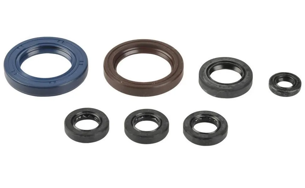 Serie Paraoli Motore Athena per KTM 450 EXC 03-06