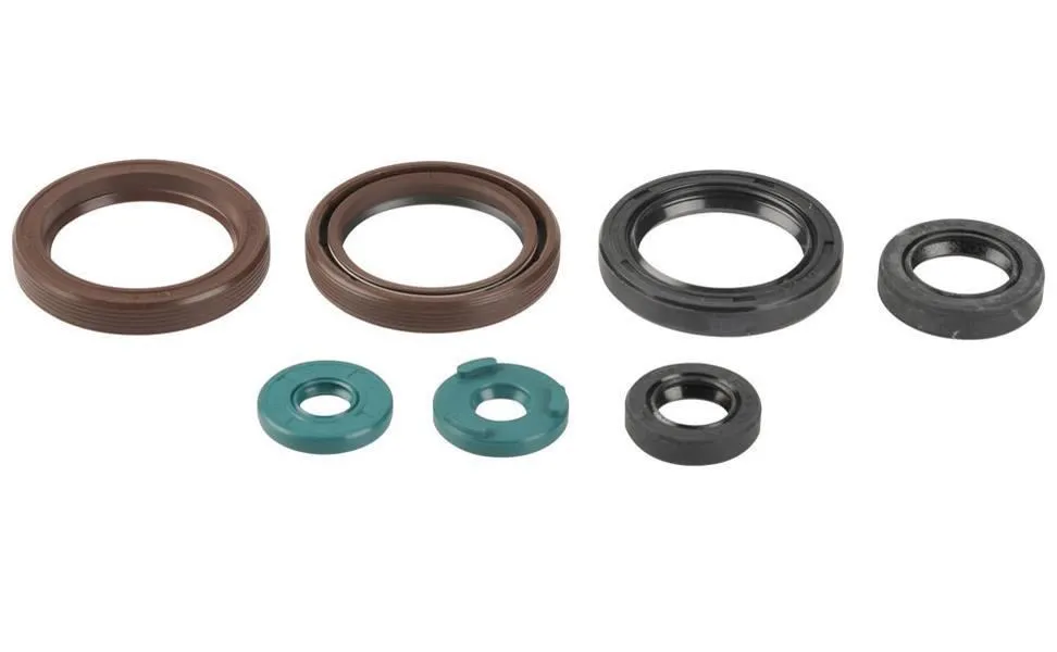 Serie Paraoli Motore Athena per KTM 450 EXC 09-11