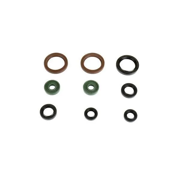 Serie Paraoli Motore Athena per KTM 500 EXC 14-16