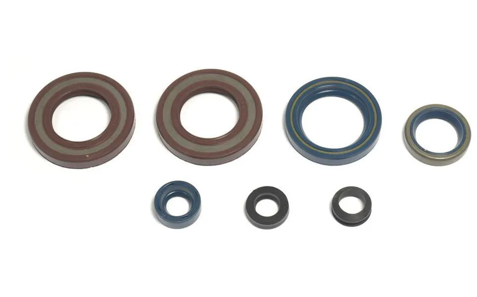 Serie Paraoli Motore Athena per KTM 620 Duke 94-95