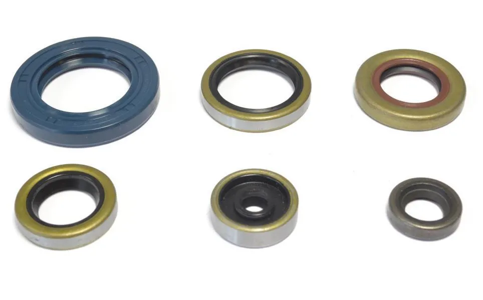 Serie Paraoli Motore Athena per KTM 65 XC 09-10