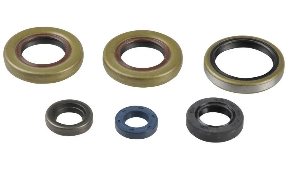 Serie Paraoli Motore Athena per KTM 65 XC 2008