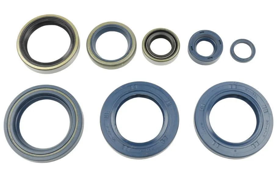 Serie Paraoli Motore Athena per KTM 660 SMC 03-06