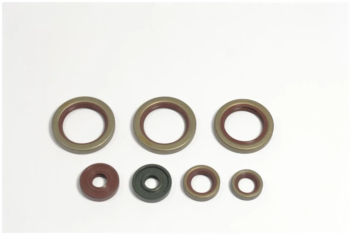 Serie Paraoli Motore Athena per KTM 690 SMC 08-10