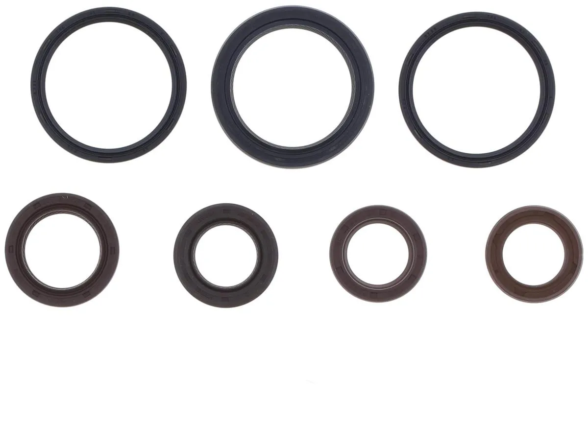 Serie Paraoli Motore Athena per Piaggio Beverly 300 16-20