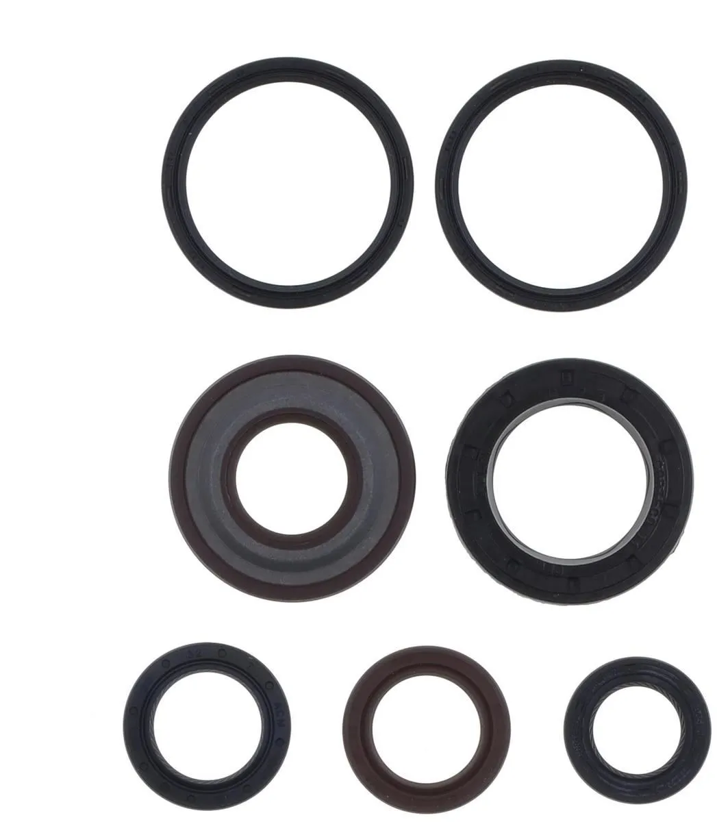 Serie Paraoli Motore Athena per piaggio vespa et4 125 96-99