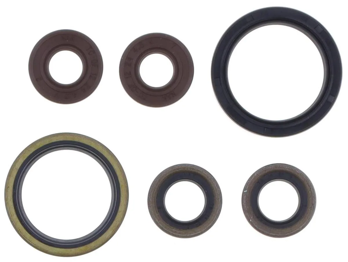 Serie Paraoli Motore Athena per Sherco 450 SEF-R 15-19