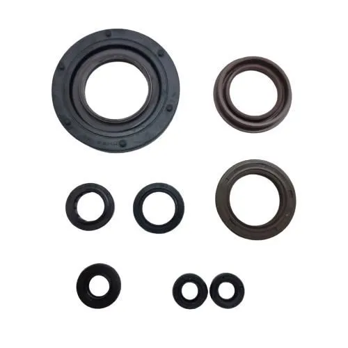 Serie Paraoli Motore Athena per Suzuki RGV gamma 250 vj23 1996