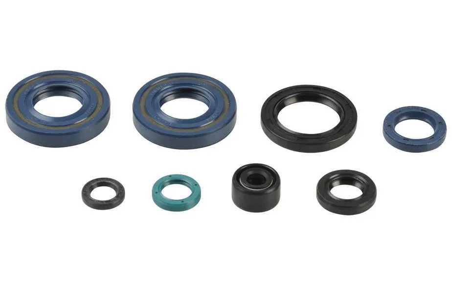 Serie Paraoli Motore Athena per Suzuki RM 100 03-04