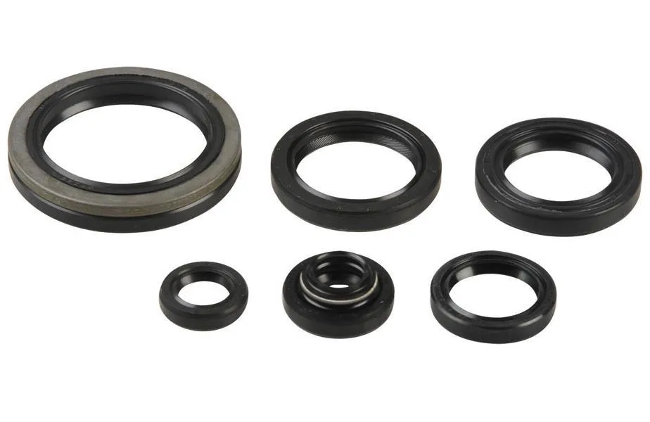 Serie Paraoli Motore Athena per Suzuki RM 250 96-02