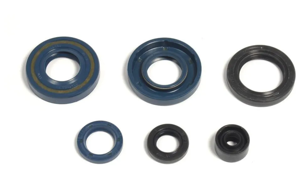 Serie Paraoli Motore Athena per Suzuki RM 60 2003