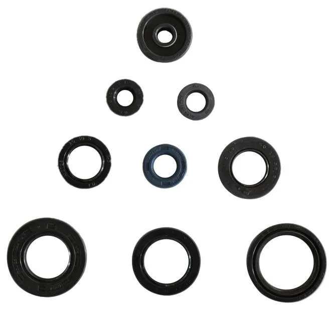 Serie Paraoli Motore Athena per Yamaha DT 125 R 99-06