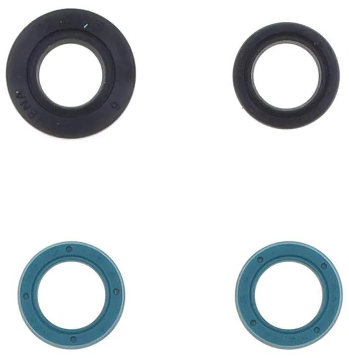 Serie Paraoli Motore Athena per Yamaha TDM 850 91-01