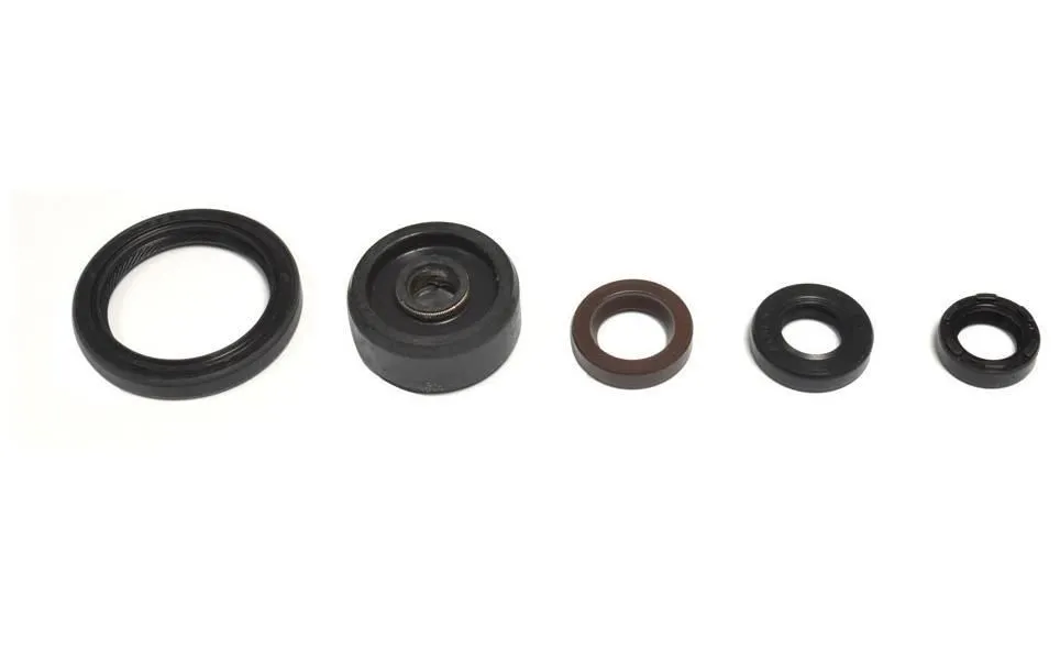 Serie Paraoli Motore Athena per Yamaha WR 250 2T 08-17