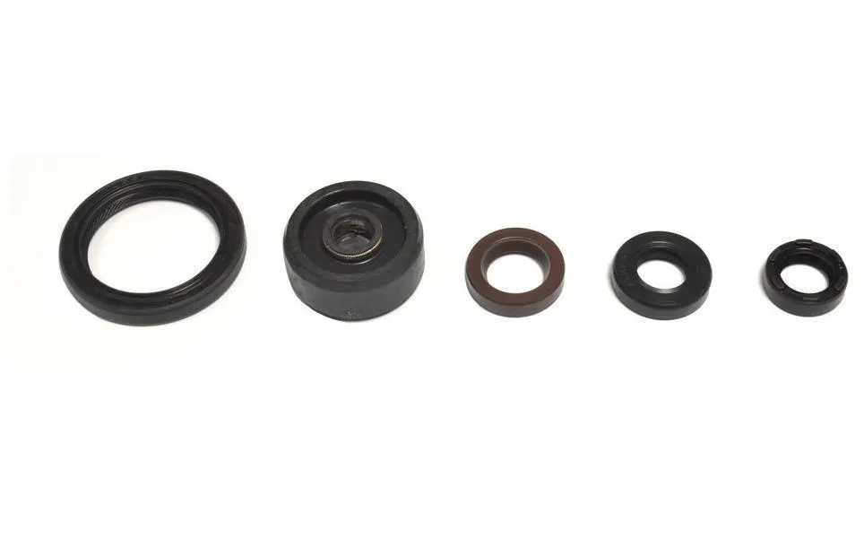 Serie Paraoli Motore Athena per Yamaha WR 250 R 08-17