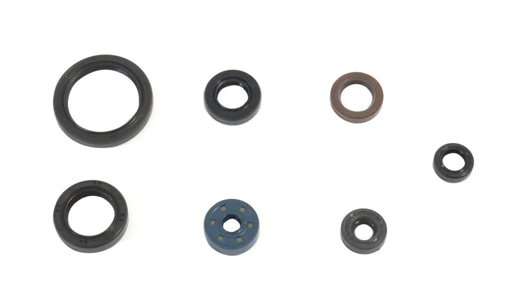 Serie Paraoli Motore Athena per Yamaha WRF 450 16-23