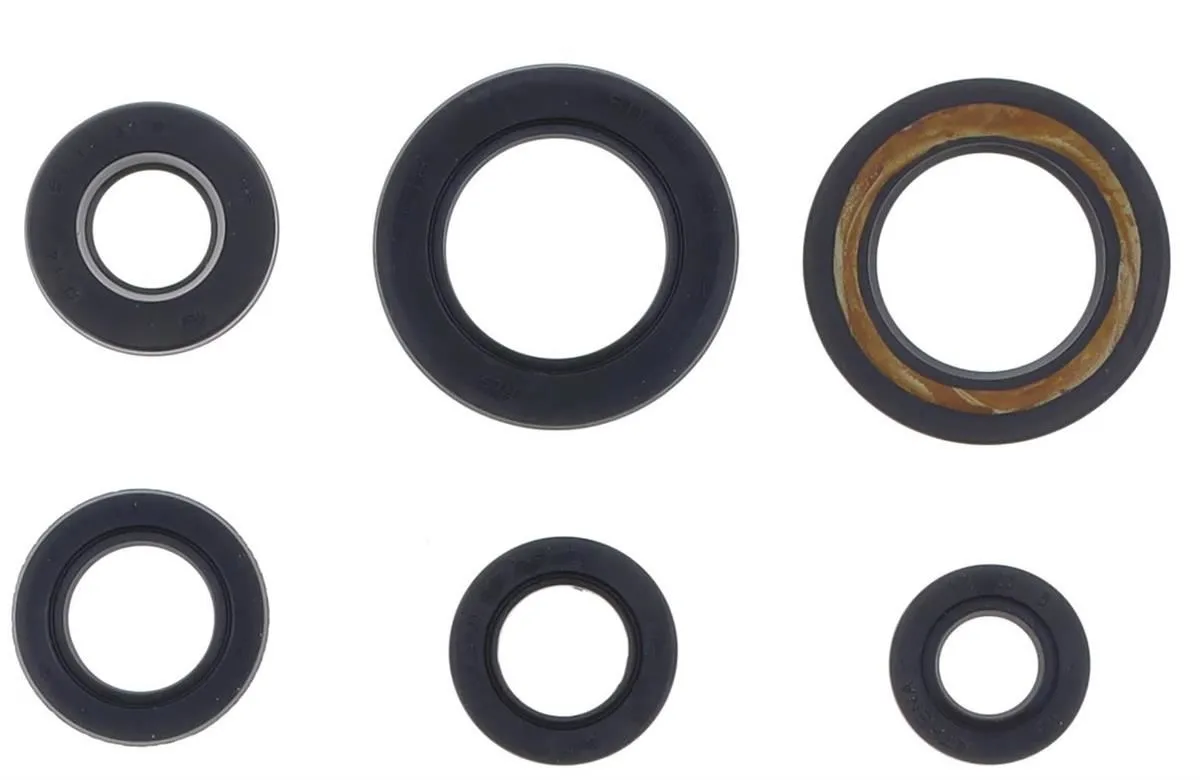 Serie Paraoli Motore Athena per Yamaha XT 600 95-02