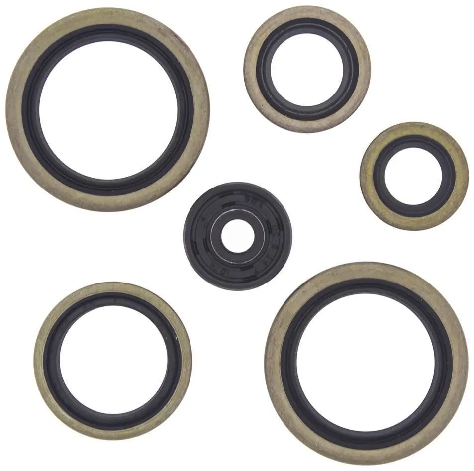 Serie Paraoli Motore Vertex per KTM 250 SX 05-16